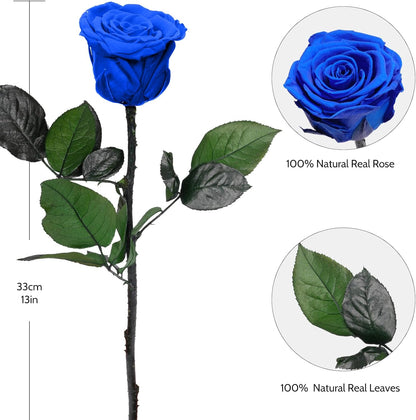 Preserved Flowers Rose Gifts for Women Mom, Mothers Day Rose Flower Gifts for Moms,Forever Real Flowers Mom Birthday Grandma Gifts, Valentines Day Gift for Her Girlfriend Wife Anniversary(Red)