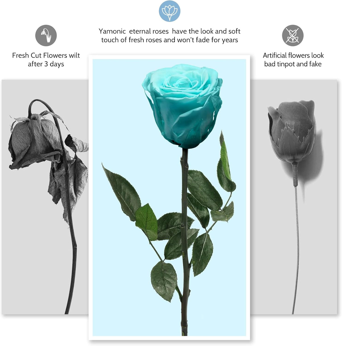Preserved Flowers Rose Gifts for Women Mom, Mothers Day Rose Flower Gifts for Moms,Forever Real Flowers Mom Birthday Grandma Gifts, Valentines Day Gift for Her Girlfriend Wife Anniversary(Red)