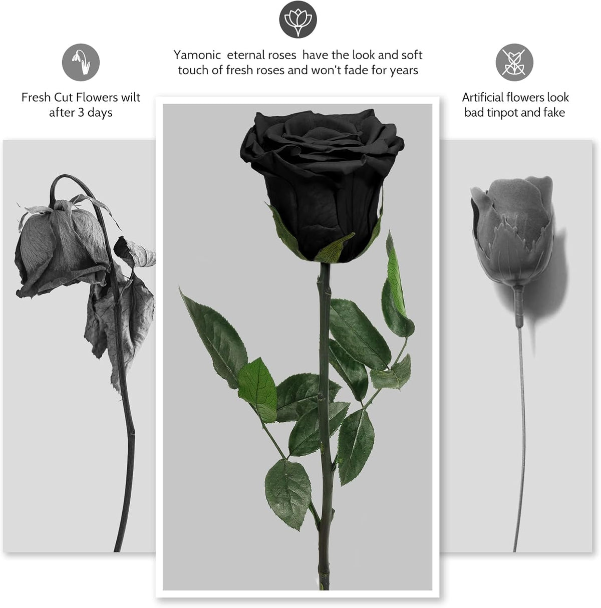 Preserved Flowers Rose Gifts for Women Mom, Mothers Day Rose Flower Gifts for Moms,Forever Real Flowers Mom Birthday Grandma Gifts, Valentines Day Gift for Her Girlfriend Wife Anniversary(Red)