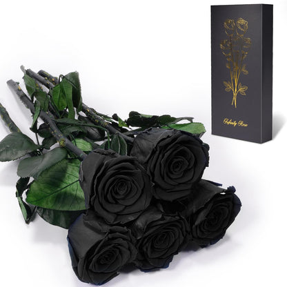 Preserved Flowers Rose Gifts for Women Mom, Mothers Day Rose Flower Gifts for Moms,Forever Real Flowers Mom Birthday Grandma Gifts, Valentines Day Gift for Her Girlfriend Wife Anniversary(Red)
