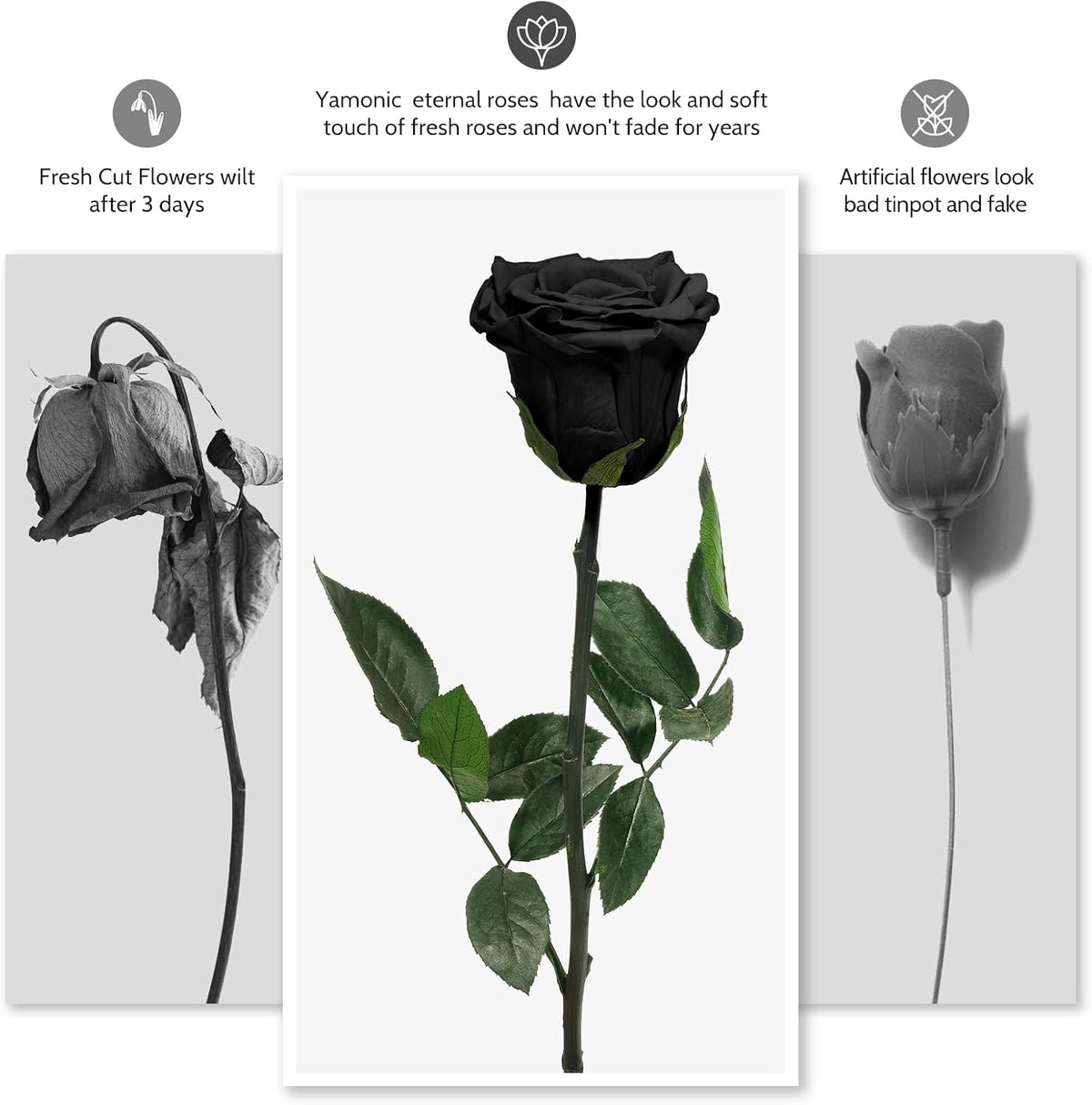 Preserved Flowers Rose Gifts for Women Mom, Mothers Day Rose Flower Gifts for Moms,Forever Real Flowers Mom Birthday Grandma Gifts, Valentines Day Gift for Her Girlfriend Wife Anniversary(Red)