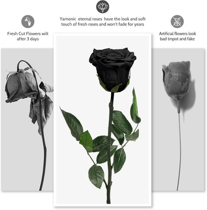 Preserved Flowers Rose Gifts for Women Mom, Mothers Day Rose Flower Gifts for Moms,Forever Real Flowers Mom Birthday Grandma Gifts, Valentines Day Gift for Her Girlfriend Wife Anniversary(Red)