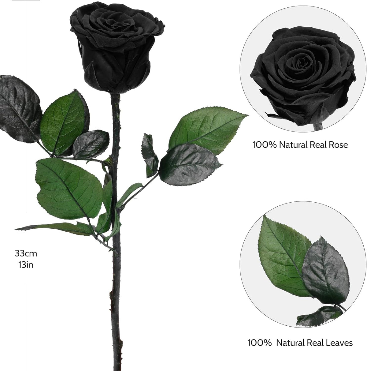 Preserved Flowers Rose Gifts for Women Mom, Mothers Day Rose Flower Gifts for Moms,Forever Real Flowers Mom Birthday Grandma Gifts, Valentines Day Gift for Her Girlfriend Wife Anniversary(Red)