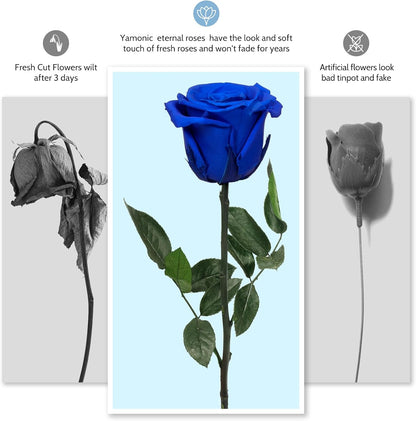 Preserved Flowers Rose Gifts for Women Mom, Mothers Day Rose Flower Gifts for Moms,Forever Real Flowers Mom Birthday Grandma Gifts, Valentines Day Gift for Her Girlfriend Wife Anniversary(Red)