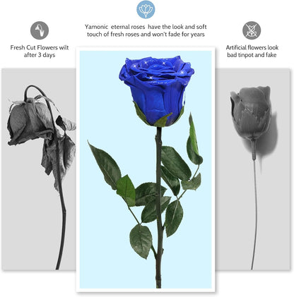 Preserved Flowers Rose Gifts for Women Mom, Mothers Day Rose Flower Gifts for Moms,Forever Real Flowers Mom Birthday Grandma Gifts, Valentines Day Gift for Her Girlfriend Wife Anniversary(Red)