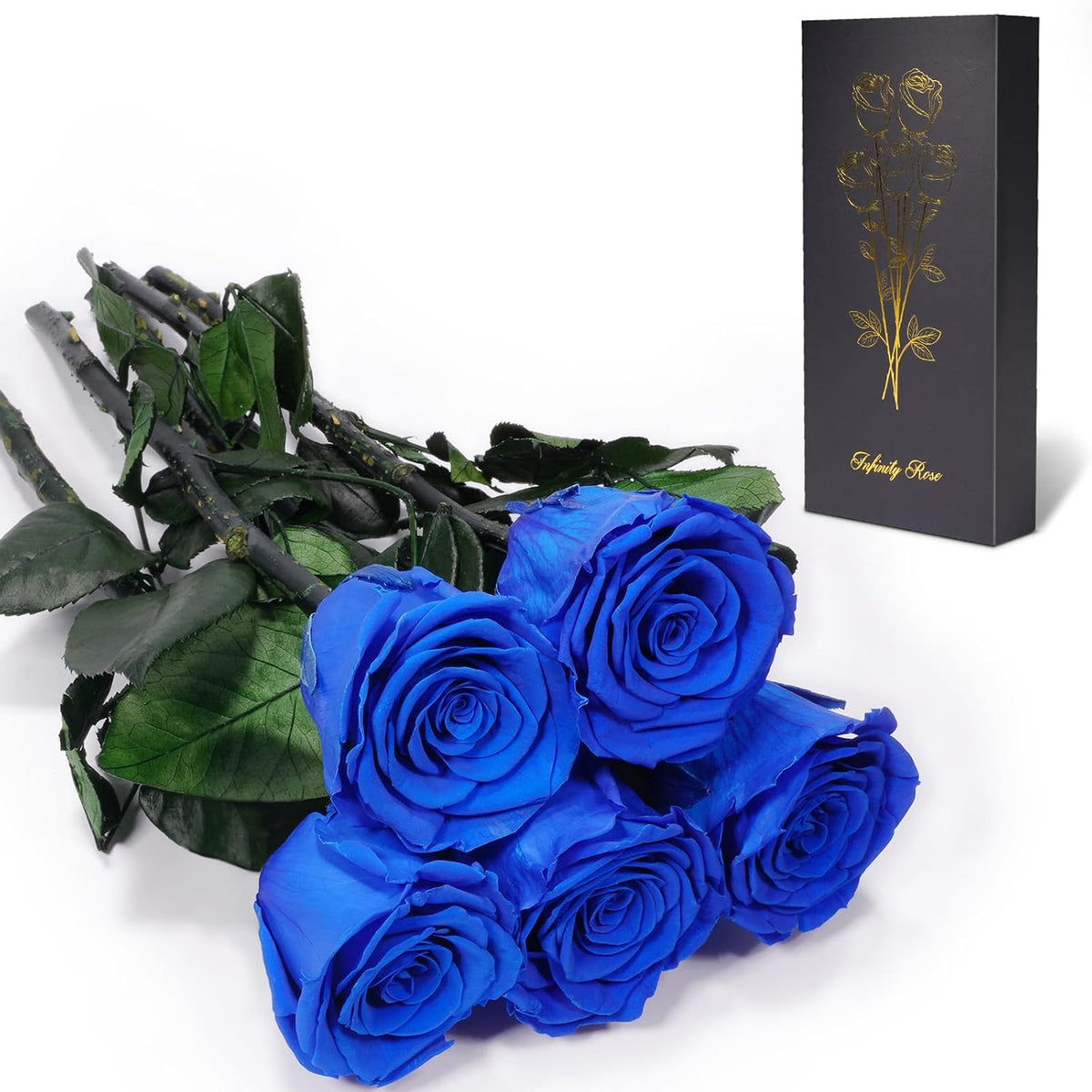 Preserved Flowers Rose Gifts for Women Mom, Mothers Day Rose Flower Gifts for Moms,Forever Real Flowers Mom Birthday Grandma Gifts, Valentines Day Gift for Her Girlfriend Wife Anniversary(Red)