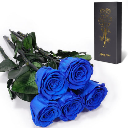 Preserved Flowers Rose Gifts for Women Mom, Mothers Day Rose Flower Gifts for Moms,Forever Real Flowers Mom Birthday Grandma Gifts, Valentines Day Gift for Her Girlfriend Wife Anniversary(Red)