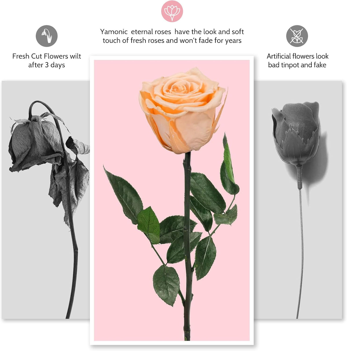 Preserved Flowers Rose Gifts for Women Mom, Mothers Day Rose Flower Gifts for Moms,Forever Real Flowers Mom Birthday Grandma Gifts, Valentines Day Gift for Her Girlfriend Wife Anniversary(Red)