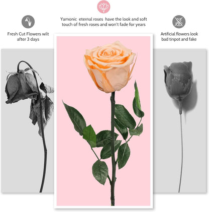 Preserved Flowers Rose Gifts for Women Mom, Mothers Day Rose Flower Gifts for Moms,Forever Real Flowers Mom Birthday Grandma Gifts, Valentines Day Gift for Her Girlfriend Wife Anniversary(Red)