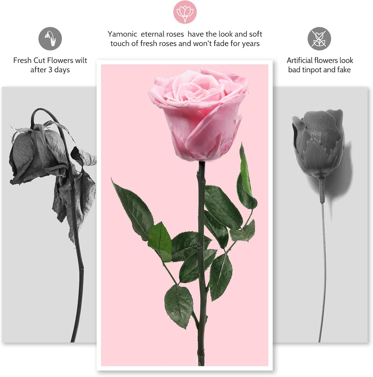 Preserved Flowers Rose Gifts for Women Mom, Mothers Day Rose Flower Gifts for Moms,Forever Real Flowers Mom Birthday Grandma Gifts, Valentines Day Gift for Her Girlfriend Wife Anniversary(Red)