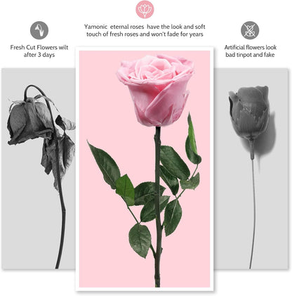 Preserved Flowers Rose Gifts for Women Mom, Mothers Day Rose Flower Gifts for Moms,Forever Real Flowers Mom Birthday Grandma Gifts, Valentines Day Gift for Her Girlfriend Wife Anniversary(Red)