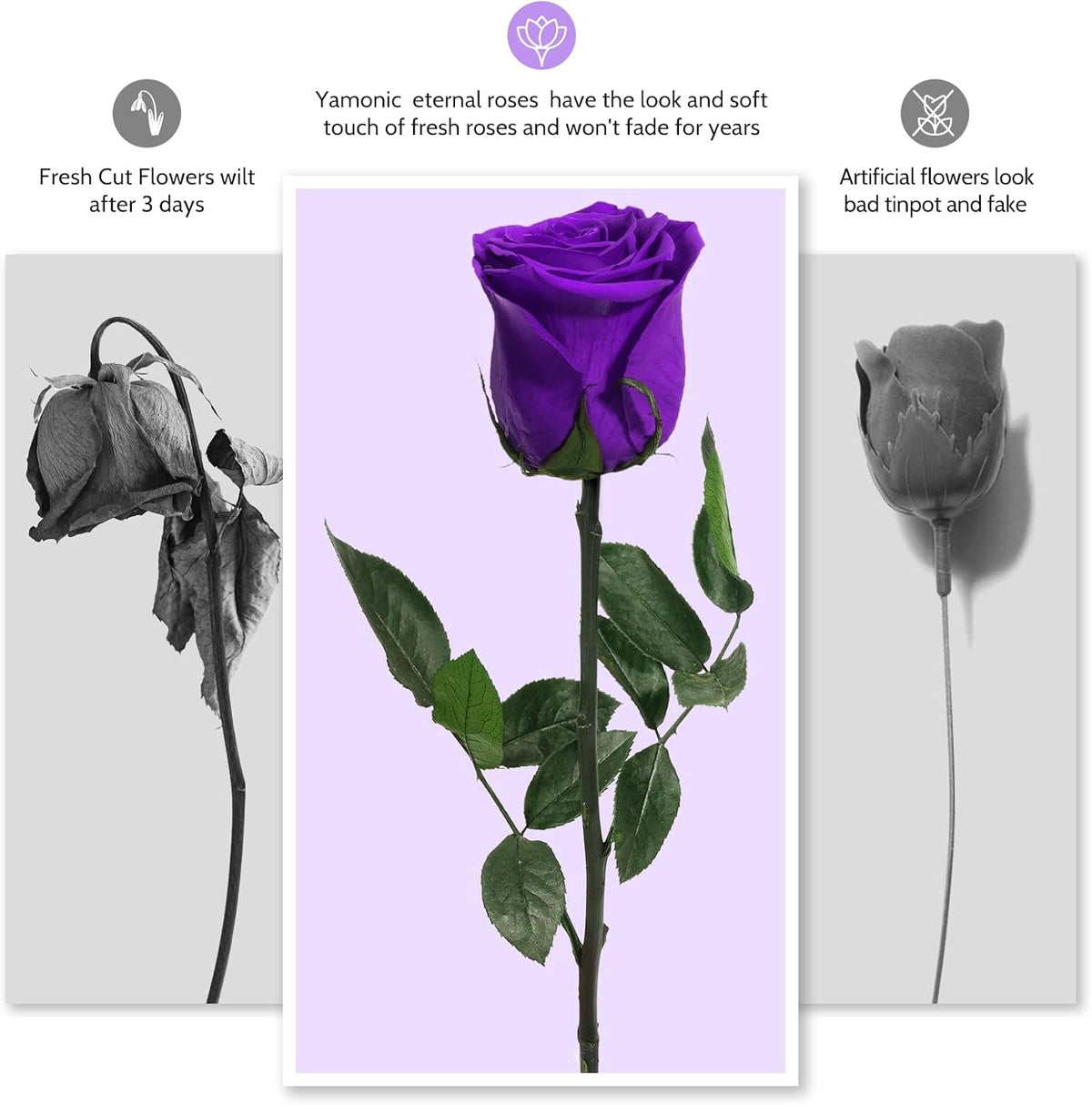 Preserved Flowers Rose Gifts for Women Mom, Mothers Day Rose Flower Gifts for Moms,Forever Real Flowers Mom Birthday Grandma Gifts, Valentines Day Gift for Her Girlfriend Wife Anniversary(Red)