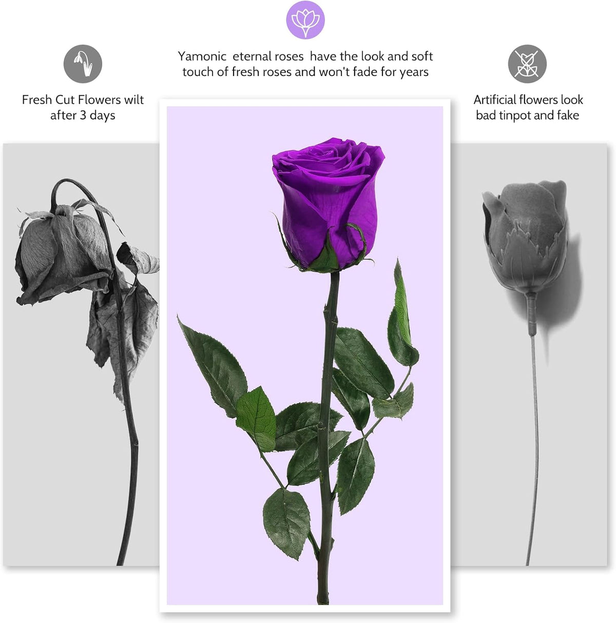 Preserved Flowers Rose Gifts for Women Mom, Mothers Day Rose Flower Gifts for Moms,Forever Real Flowers Mom Birthday Grandma Gifts, Valentines Day Gift for Her Girlfriend Wife Anniversary(Red)