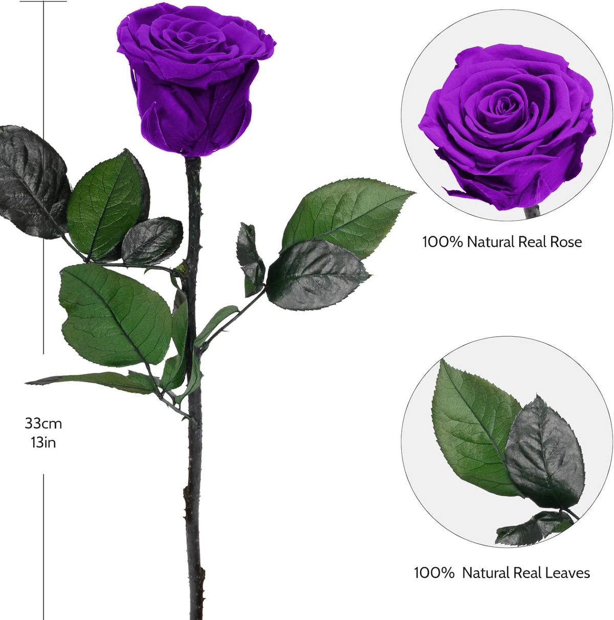 Preserved Flowers Rose Gifts for Women Mom, Mothers Day Rose Flower Gifts for Moms,Forever Real Flowers Mom Birthday Grandma Gifts, Valentines Day Gift for Her Girlfriend Wife Anniversary(Red)
