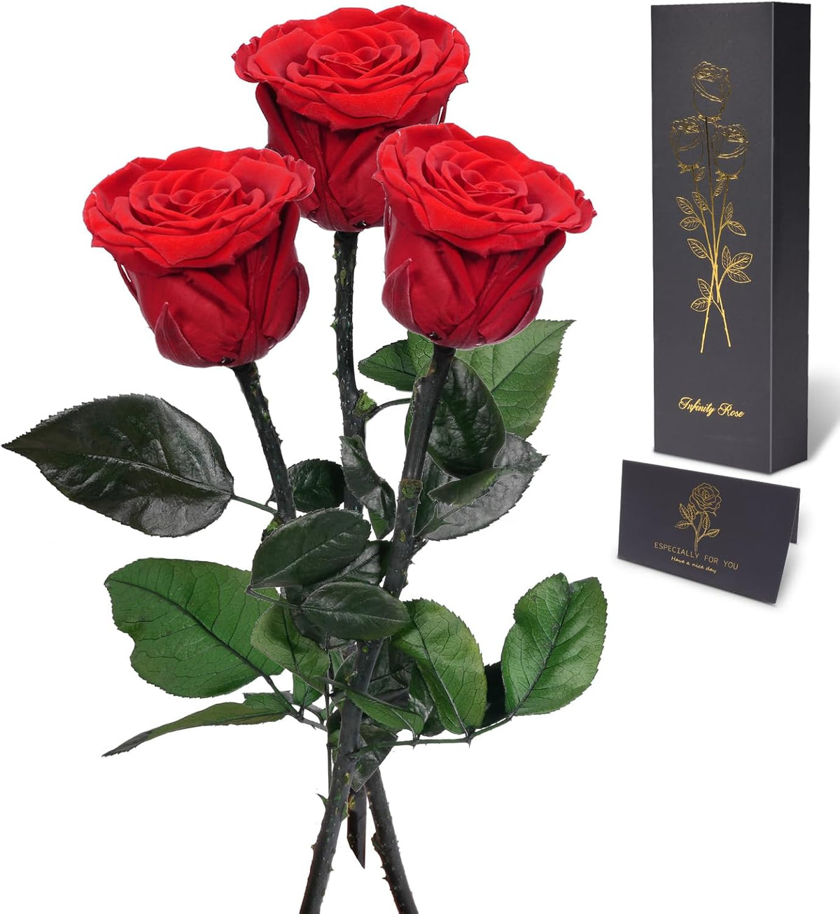 Preserved Flowers Rose Gifts for Women Mom, Mothers Day Rose Flower Gifts for Moms,Forever Real Flowers Mom Birthday Grandma Gifts, Valentines Day Gift for Her Girlfriend Wife Anniversary(Red)