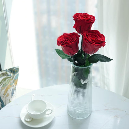 Preserved Flowers Rose Gifts for Women Mom, Mothers Day Rose Flower Gifts for Moms,Forever Real Flowers Mom Birthday Grandma Gifts, Valentines Day Gift for Her Girlfriend Wife Anniversary(Red)
