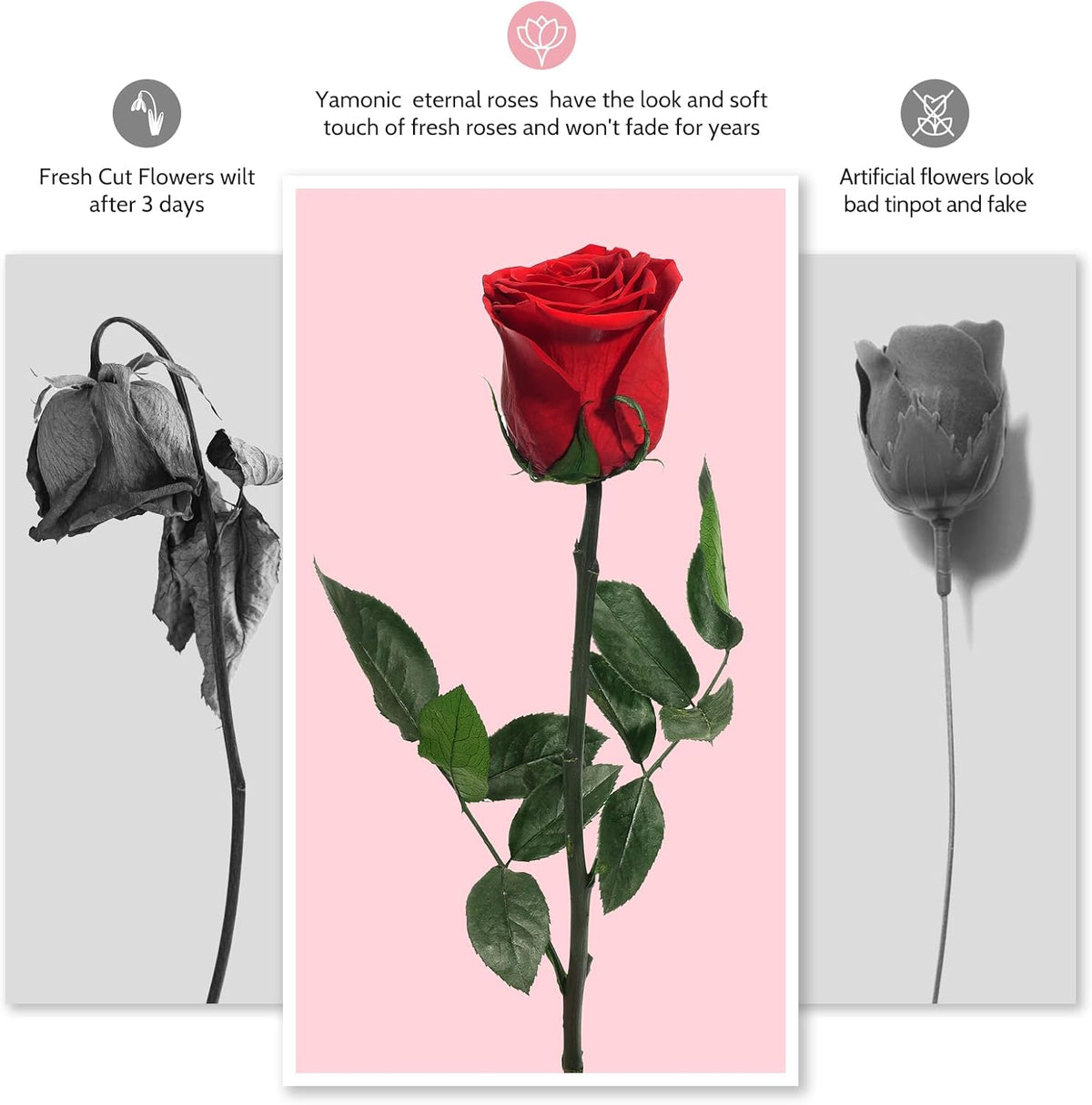 Preserved Flowers Rose Gifts for Women Mom, Mothers Day Rose Flower Gifts for Moms,Forever Real Flowers Mom Birthday Grandma Gifts, Valentines Day Gift for Her Girlfriend Wife Anniversary(Red)