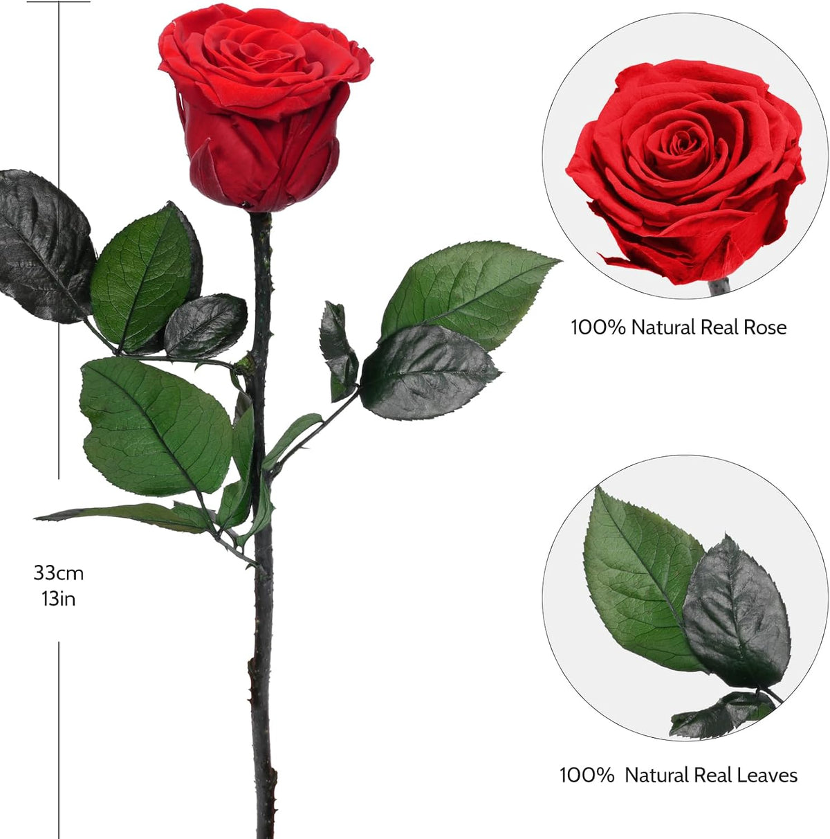 Preserved Flowers Rose Gifts for Women Mom, Mothers Day Rose Flower Gifts for Moms,Forever Real Flowers Mom Birthday Grandma Gifts, Valentines Day Gift for Her Girlfriend Wife Anniversary(Red)