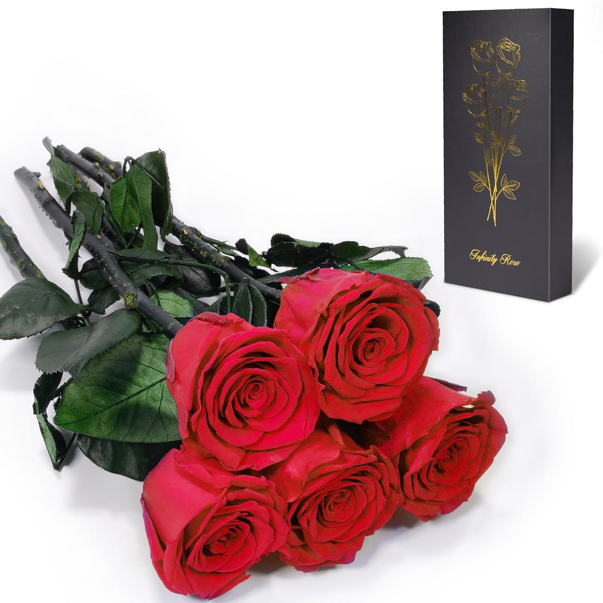 Preserved Flowers Rose Gifts for Women Mom, Mothers Day Rose Flower Gifts for Moms,Forever Real Flowers Mom Birthday Grandma Gifts, Valentines Day Gift for Her Girlfriend Wife Anniversary(Red)