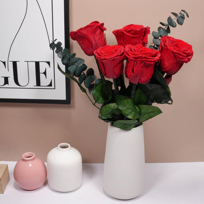 Preserved Flowers Rose Gifts for Women Mom, Mothers Day Rose Flower Gifts for Moms,Forever Real Flowers Mom Birthday Grandma Gifts, Valentines Day Gift for Her Girlfriend Wife Anniversary(Red)