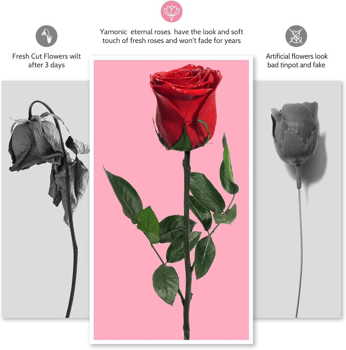 Preserved Flowers Rose Gifts for Women Mom, Mothers Day Rose Flower Gifts for Moms,Forever Real Flowers Mom Birthday Grandma Gifts, Valentines Day Gift for Her Girlfriend Wife Anniversary(Red)