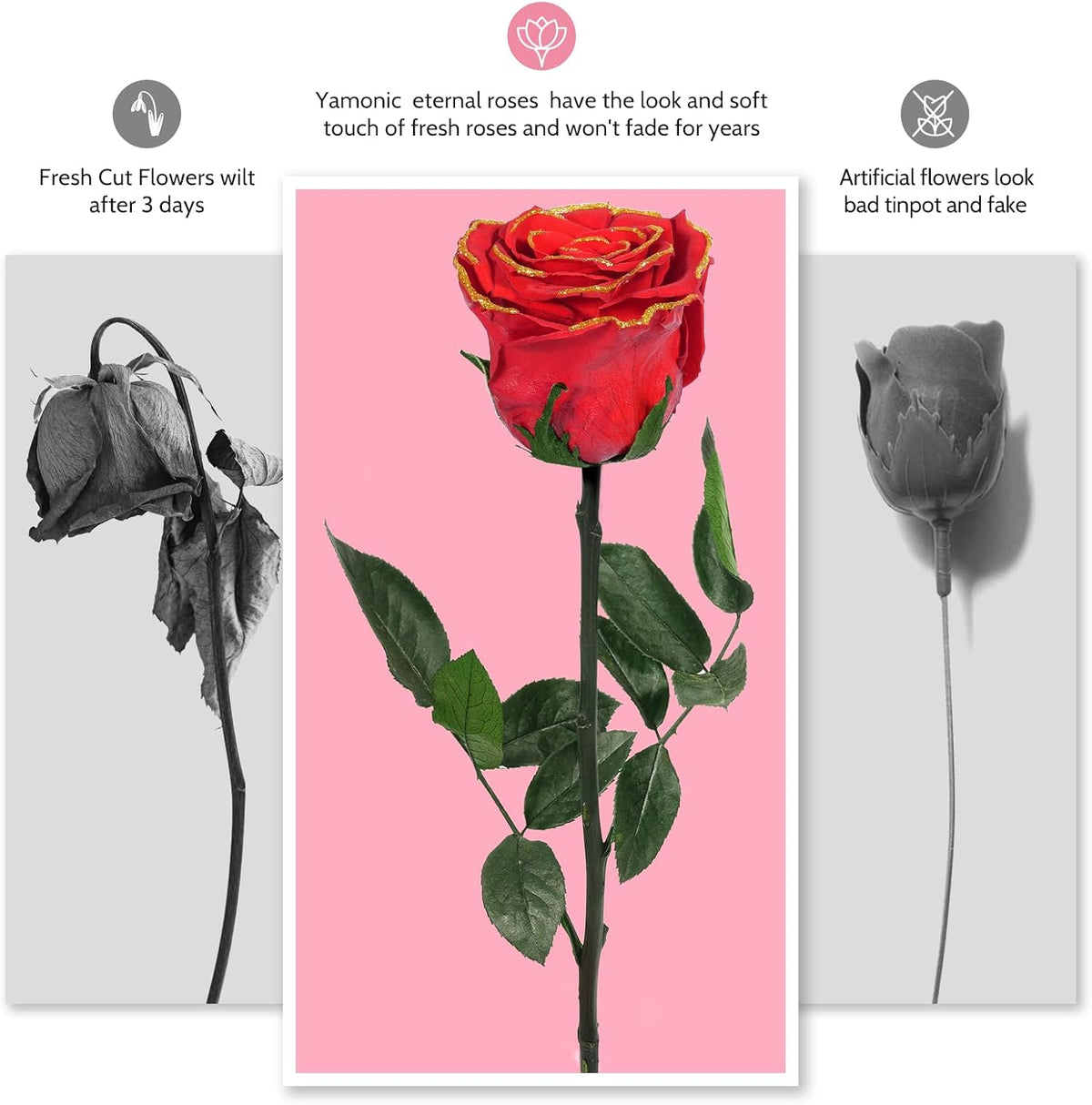 Preserved Flowers Rose Gifts for Women Mom, Mothers Day Rose Flower Gifts for Moms,Forever Real Flowers Mom Birthday Grandma Gifts, Valentines Day Gift for Her Girlfriend Wife Anniversary(Red)