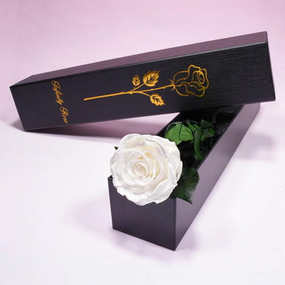 Preserved Flowers Rose Gifts for Women Mom, Mothers Day Rose Flower Gifts for Moms,Forever Real Flowers Mom Birthday Grandma Gifts, Valentines Day Gift for Her Girlfriend Wife Anniversary(Red)