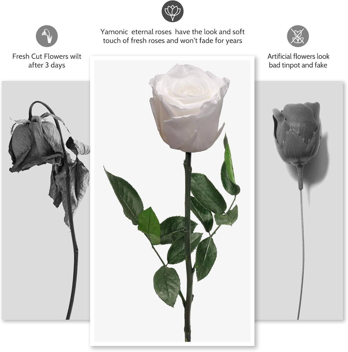 Preserved Flowers Rose Gifts for Women Mom, Mothers Day Rose Flower Gifts for Moms,Forever Real Flowers Mom Birthday Grandma Gifts, Valentines Day Gift for Her Girlfriend Wife Anniversary(Red)