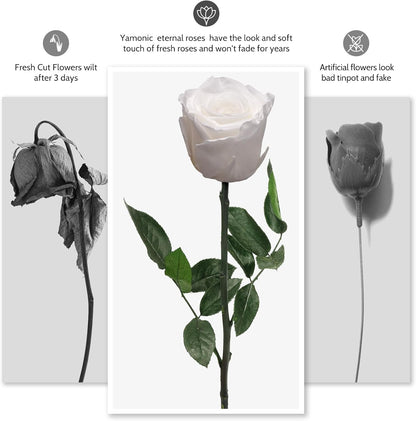 Preserved Flowers Rose Gifts for Women Mom, Mothers Day Rose Flower Gifts for Moms,Forever Real Flowers Mom Birthday Grandma Gifts, Valentines Day Gift for Her Girlfriend Wife Anniversary(Red)