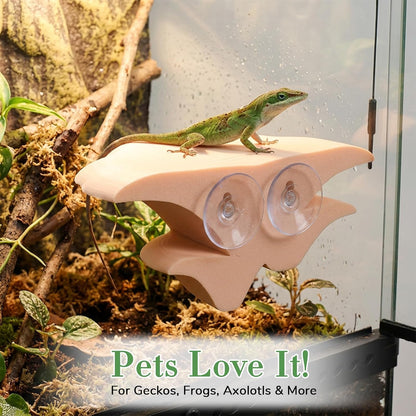 Mushroom Decor Climbing Hold Kit Realistic Terrarium Plants Jumping Spider Habitat Enclosure Decorate Accessories for Leopard Geckos Crested Geckos Tree Frogs Small Lizards