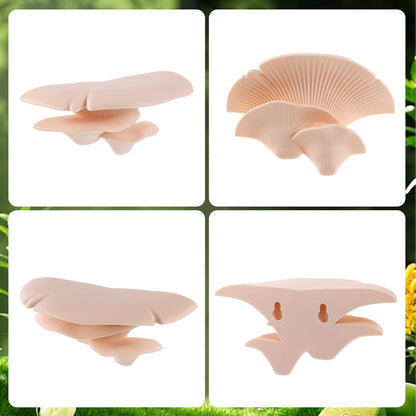 Mushroom Decor Climbing Hold Kit Realistic Terrarium Plants Jumping Spider Habitat Enclosure Decorate Accessories for Leopard Geckos Crested Geckos Tree Frogs Small Lizards