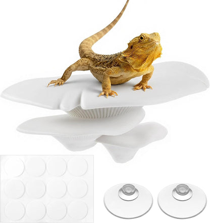 Mushroom Decor Climbing Hold Kit Realistic Terrarium Plants Jumping Spider Habitat Enclosure Decorate Accessories for Leopard Geckos Crested Geckos Tree Frogs Small Lizards