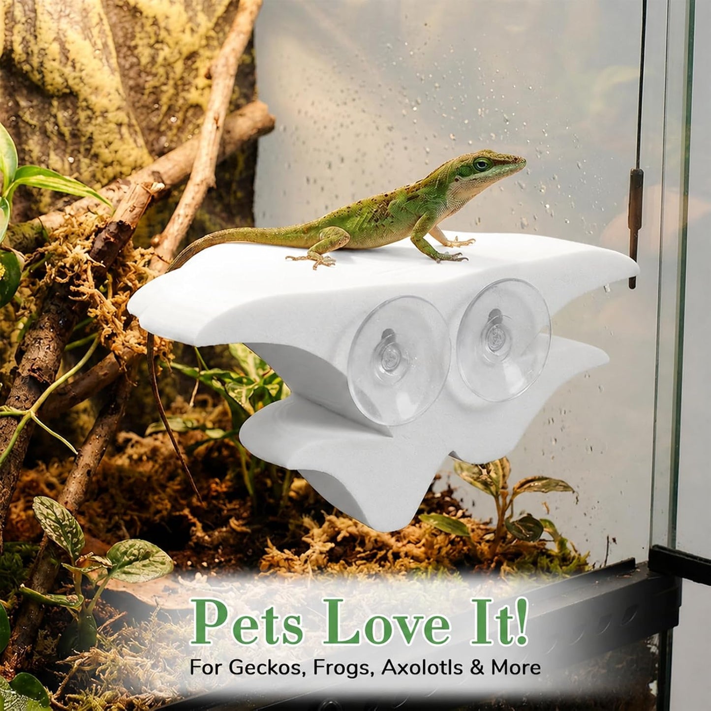 Mushroom Decor Climbing Hold Kit Realistic Terrarium Plants Jumping Spider Habitat Enclosure Decorate Accessories for Leopard Geckos Crested Geckos Tree Frogs Small Lizards