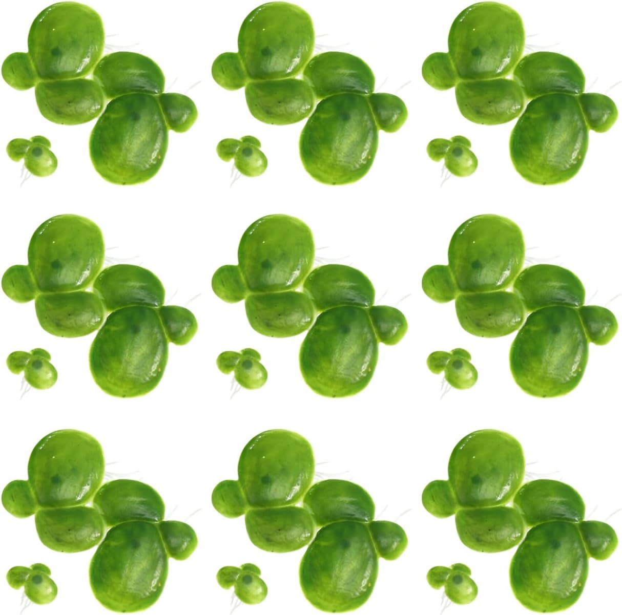 Artificial Duckweed Plants 36Pcs Floating Aquarium Decor Plastic Water Plants for Fish Tanks Pond Decoration Realistic Green Mini Fish Decor