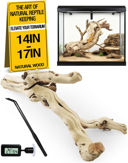 3Pcs Bearded Dragon Wood Branch, Large 14-17 Inch Reptile Wood Logs for ClimbingTerrarium Habitat Decor for Geckos, Chameleons, Frogs & Spiders