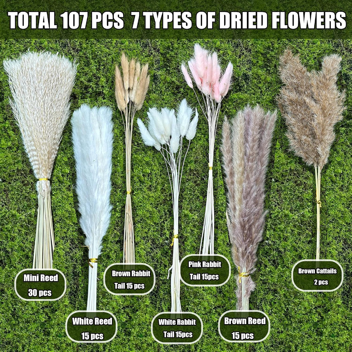 100Pcs Pampas Grass Boho Home Decor 17 inch Natural Dried Flowers-Pampas Grass Contains Bunny Tails White Pampas Brown Pampas.Boho Decor for Farmhouse Wedding Boho Wall Bathroom Office Kitchen…