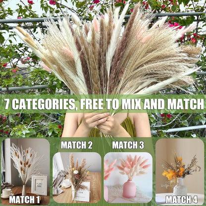 100Pcs Pampas Grass Boho Home Decor 17 inch Natural Dried Flowers-Pampas Grass Contains Bunny Tails White Pampas Brown Pampas.Boho Decor for Farmhouse Wedding Boho Wall Bathroom Office Kitchen…