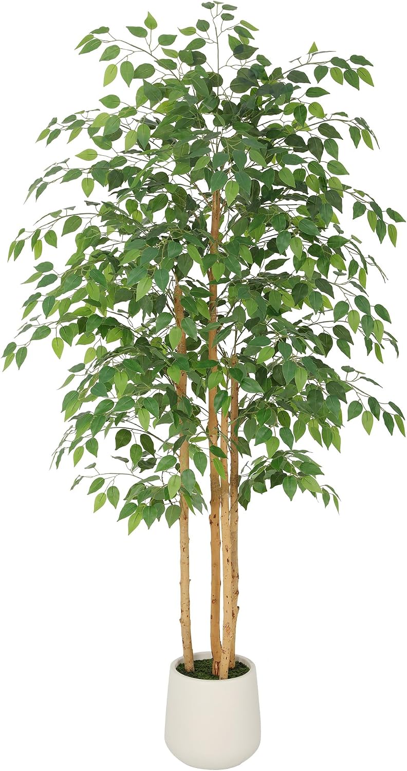 6ft Artificial Ficus Tree with White Decorative Planter & Multiple Real Wood Trunks, 72in Fake Ficus Tree with Lifelike Leaves, Faux Ficus Tree for Living Room Bedroom Office Decor