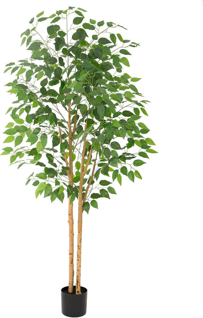 6ft Artificial Ficus Tree with White Decorative Planter & Multiple Real Wood Trunks, 72in Fake Ficus Tree with Lifelike Leaves, Faux Ficus Tree for Living Room Bedroom Office Decor
