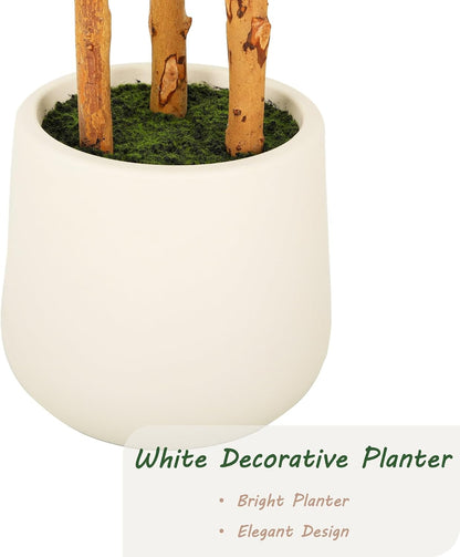 6ft Artificial Ficus Tree with White Decorative Planter & Multiple Real Wood Trunks, 72in Fake Ficus Tree with Lifelike Leaves, Faux Ficus Tree for Living Room Bedroom Office Decor