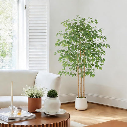 6ft Artificial Ficus Tree with White Decorative Planter & Multiple Real Wood Trunks, 72in Fake Ficus Tree with Lifelike Leaves, Faux Ficus Tree for Living Room Bedroom Office Decor