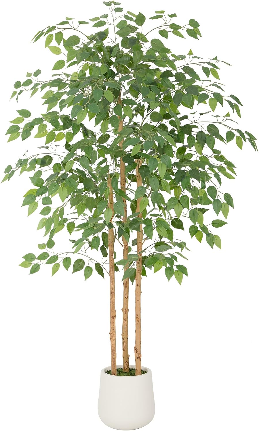 6ft Artificial Ficus Tree with White Decorative Planter & Multiple Real Wood Trunks, 72in Fake Ficus Tree with Lifelike Leaves, Faux Ficus Tree for Living Room Bedroom Office Decor