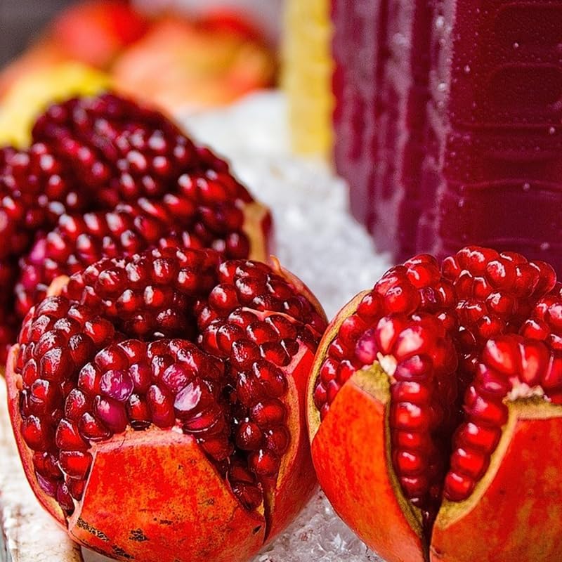 Live Pomegranate 'Wonderful' Plants (Punica Granatum 'Wonderful') - Fruit-Bearing, Drought-Tolerant, Easy to Grow (2 Pomegranate Wonderful Cups)