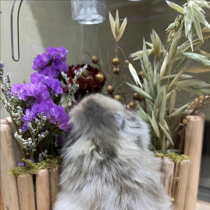 Hamster Natural Wood Flower Foraging Holder, Interactive Feeding Stand Habitat Accessories for Small Pets Hamsters Guinea Pigs Dwarf Gerbils (Yellow, 8x13.5cm)