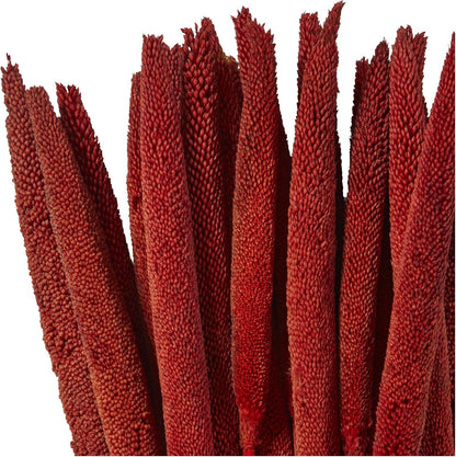 Dried Plant Bunny Tail Grass Natural Foliage with Long Stems, 1" x 1" x 20", Red