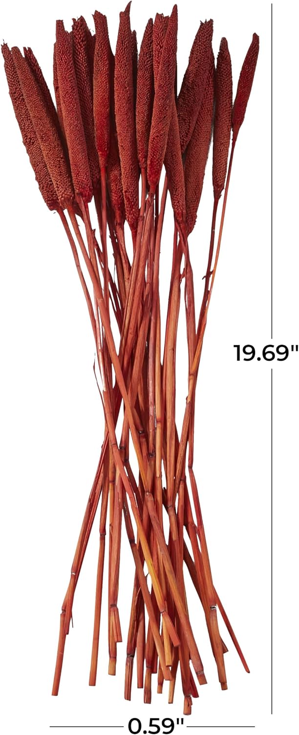 Dried Plant Bunny Tail Grass Natural Foliage with Long Stems, 1" x 1" x 20", Red