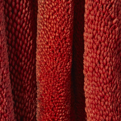 Dried Plant Bunny Tail Grass Natural Foliage with Long Stems, 1" x 1" x 20", Red