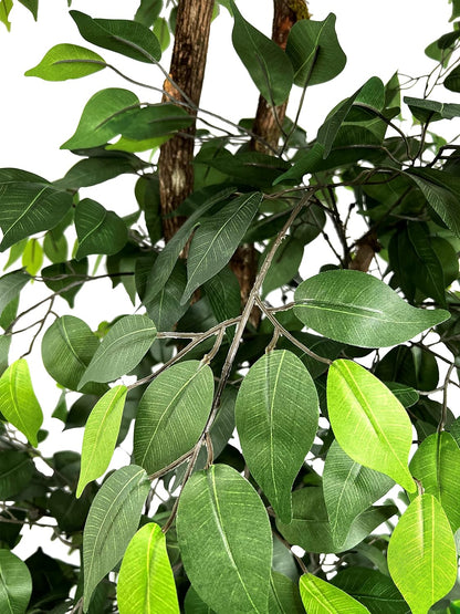 Handmade 6.5ft 3-Tier Ficus Artificial Tree with Ethically Sourced Real Wood Trunks, Hypoallergenic, 6.5-Foot, Green