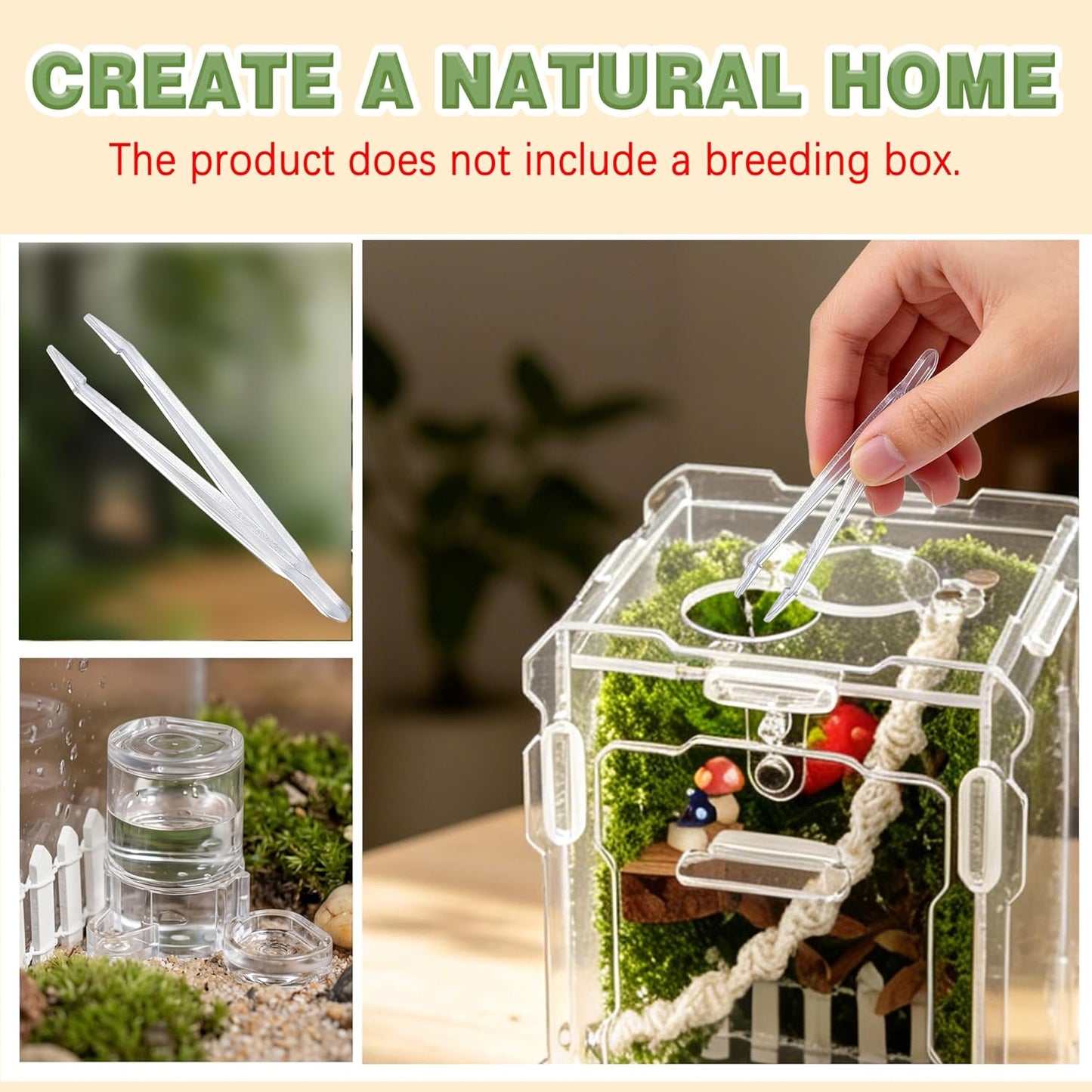 12Pcs Jumping Spider Enclosure Decor Kit - Natural Terrarium Accessories Set with Climbing Net, Moss, Mushroom Shelves, Water Feeder for Small Reptile Habitat Tarantula Gecko
