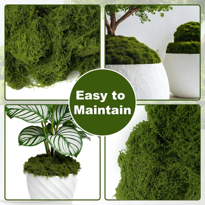 50g/1.76oz Fake Moss for Crafts, Light Green Plants Indoor, DIY Decorative Moss for Fairy Garden Floral Wedding Model Making Glass Containers Home